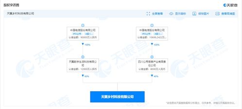 中國(guó)電信成立鄉(xiāng)村科技公司，注冊(cè)資本2億元助力信息系統(tǒng)集成服務(wù)發(fā)展